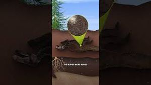 Video post by @cleoabram on YouTube