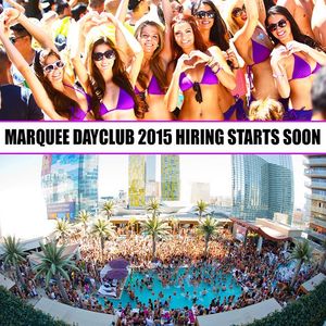 Image post by @marqueelv on Instagram