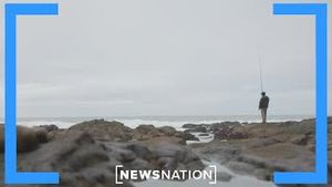 Video post by @newsnation on YouTube