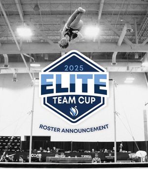 Image post by @usagym on Instagram
