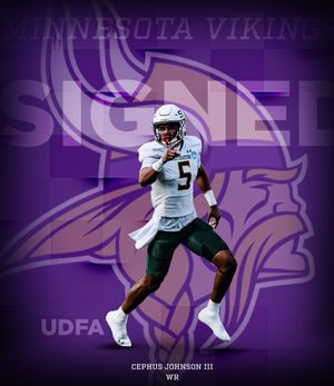 Image post by @LionUpFootball on Twitter