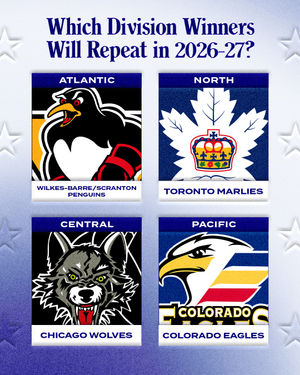 Image post by @theahl on Instagram