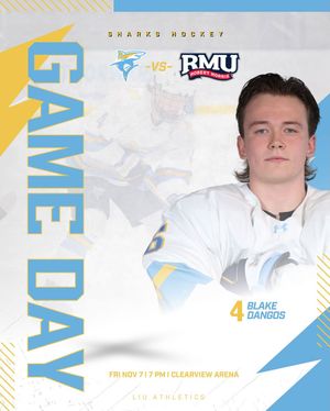 Image post by @liumhockey on Instagram