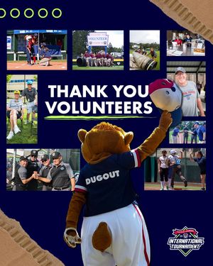 Image post by @littleleague on Instagram