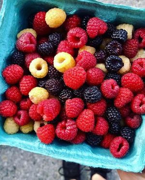 Image post by @fishkillfarms on Facebook