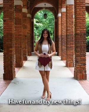 Image post by @elonlsb on Instagram