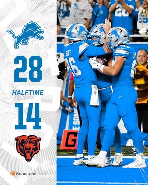 Image post by @Lions on Twitter/X