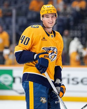 Image post by @PredsNHL on Twitter