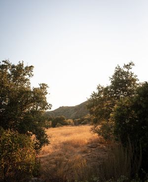 Image post by @ojaivalleyinn on Instagram