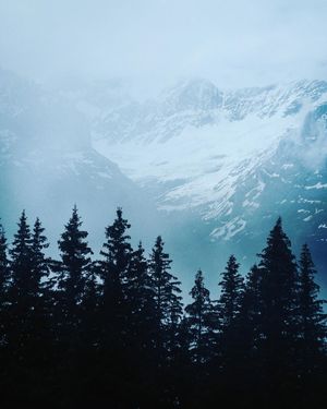 Image post by @daniel.schifferli on Instagram