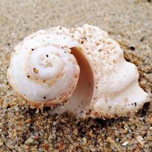 Image post by @theouterbanksnc on Instagram