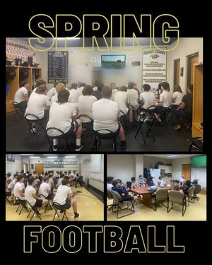 Image post by @MJGOLDENBEARFB on Twitter