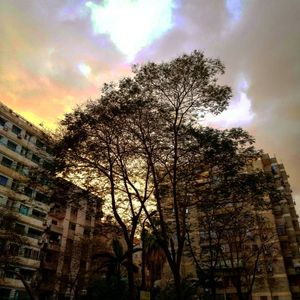 Image post by @faragelo22 on Instagram