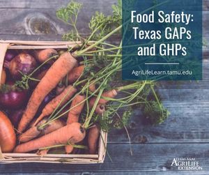 Image post by @txextension on Instagram