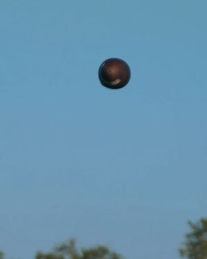 Image post by @usffootball on Instagram