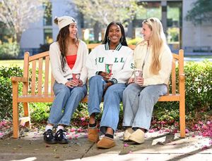 Image post by @usouthflorida on Instagram