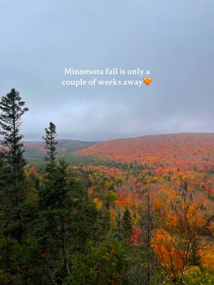 Video post by @kayla.mpls on TikTok