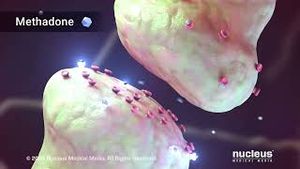Video post by @nucleusmedicalmedia on YouTube