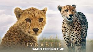 Video post by @bbcearth on YouTube