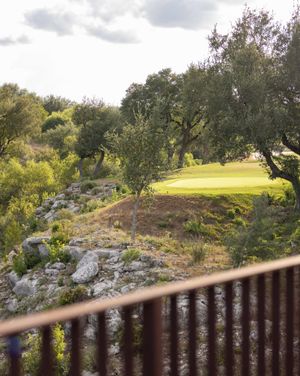 Image post by @stexaspga on Instagram