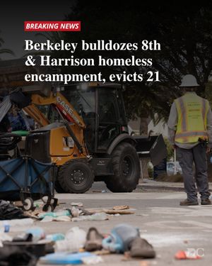 Image post by @dailycal on Instagram