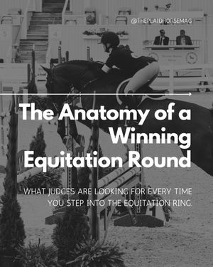 Image post by @theplaidhorsemag on Instagram