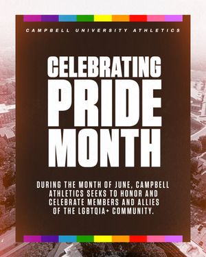 Image post by @GoCamels on Twitter