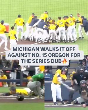 Image post by @b1g_d1baseball on Instagram