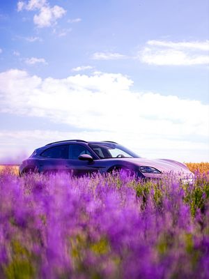 Image post by @porsche on Instagram