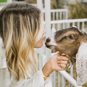 Image post by @michiganstatefair on Instagram
