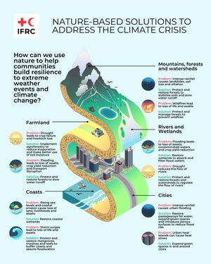 Image post by @ifrc on Instagram