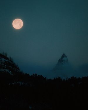 Image post by @vsco on Instagram