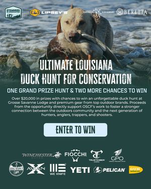 Image post by @truetimbercamo on Instagram