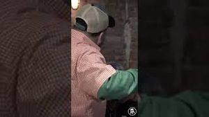 Video post by @barstoolgambling on YouTube