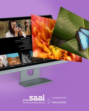 Image post by @saal_digital on Instagram