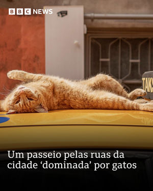Image post by @bbcbrasil on Instagram