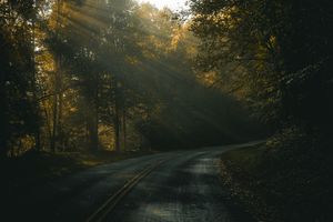 Image post by @wandernorthga on Instagram