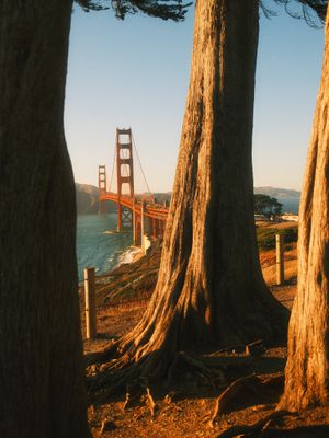 Image post by @fujifilmx_us on Instagram