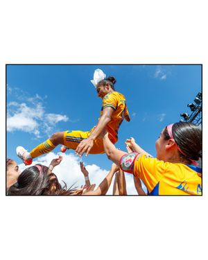 Image post by @morgantenczaphoto on Instagram