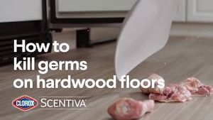 Video post by @Clorox on YouTube