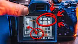 Video post by @danfox on YouTube