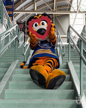 Image post by @sabretooth_nhl on Instagram