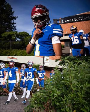 Image post by @lesschwabbowl on Instagram