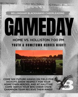 Image post by @bhshawkscheer on Instagram