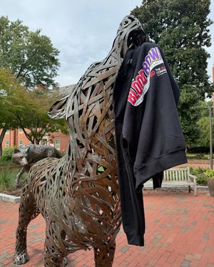 Image post by @thebloodconnection on Instagram