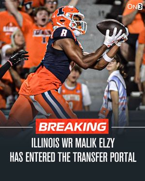 Image post by @transferportal on Instagram