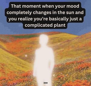 Image post by @shopearthhero on Instagram