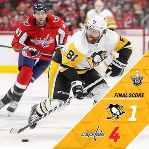 Image post by @penguins on Instagram