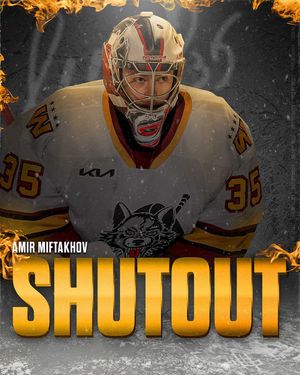 Image post by @chicagowolves on Instagram