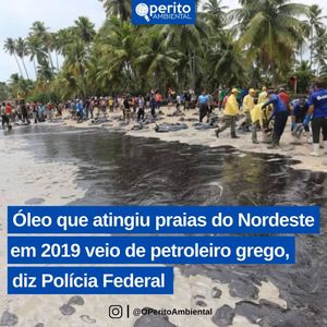 Image post by @operitoambiental on Instagram